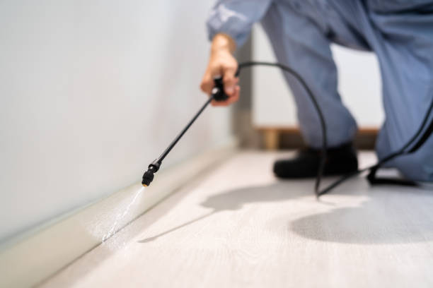 Licensed Pest Control service in Edinboro, PA - Show Me Pest Control