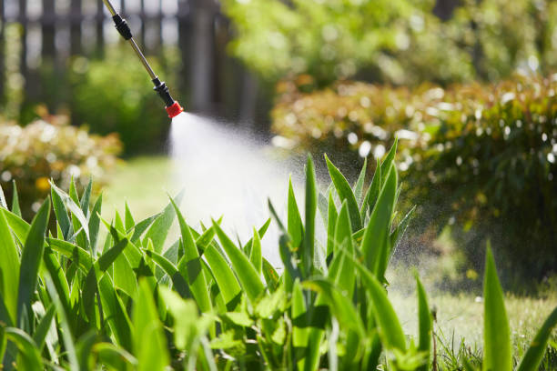 24/7 Emergency Wasp Removal experts in Edinboro, PA