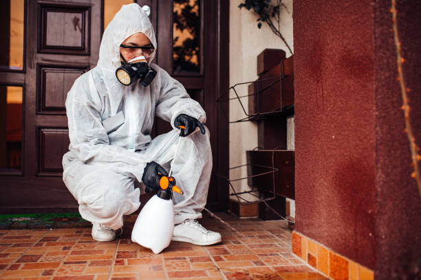 Reliable Wasp Removal contractor in Edinboro, PA by Show Me Pest Control