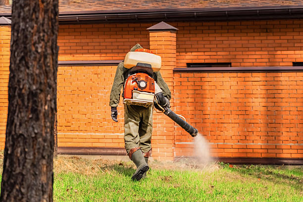 Top rated local Wasp Removal specialists in Edinboro, PA